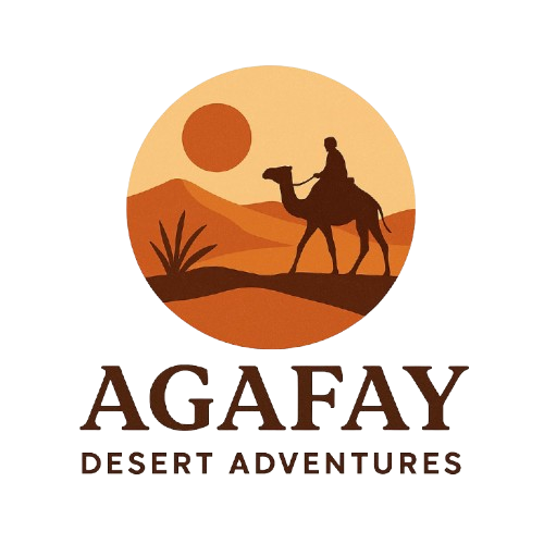 WhatsApp_Image_2025-11-05_à_00.28.57_f055bb9f-removebg-preview